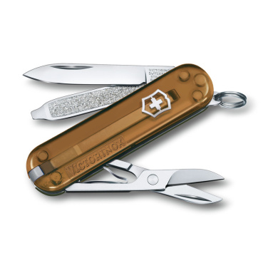 Logo trade promotional merchandise photo of: Pocket knife CLASSIC SD Victorinox