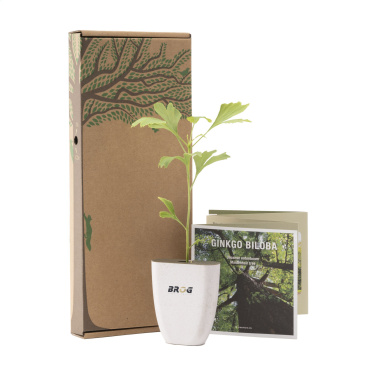 Logotrade corporate gift image of: Treemore Letterbox Trees Japanese Nut