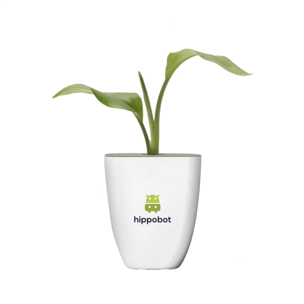 Logo trade corporate gifts image of: Treemore Letterbox Trees Bird of Paradise plant