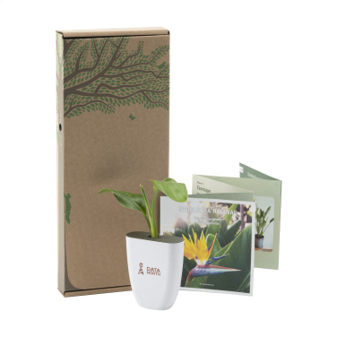 Logotrade promotional gift picture of: Treemore Letterbox Trees Bird of Paradise plant