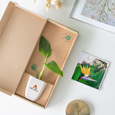 Logo trade corporate gifts picture of: Treemore Letterbox Trees Bird of Paradise plant