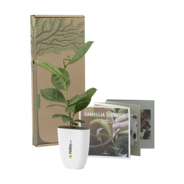 Logo trade promotional merchandise picture of: Treemore Letterbox Trees Tea plant