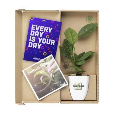 Logotrade promotional product image of: Treemore Letterbox Trees Tea plant