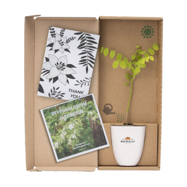 Logotrade promotional product image of: Treemore Letterbox Trees Honey