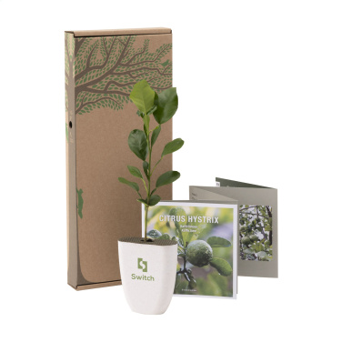 Logo trade promotional products image of: Treemore Letterbox Trees Kaffir Lemon