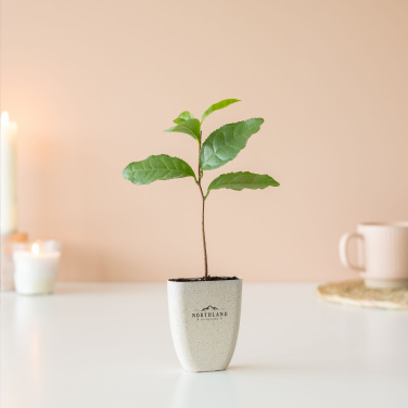 Logo trade promotional giveaways picture of: Treemore Letterbox Trees Tea plant