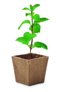 Logo trade promotional product photo of: Mint seeds growing kit
