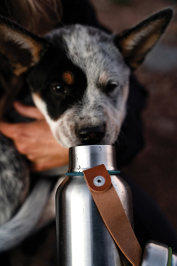 Logotrade promotional merchandise picture of: Black+Blum Insulated Water Bottle Small 500ml