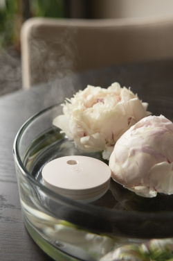 Logo trade corporate gifts image of: Breevia RCS rplasic re-chargeable floating humidifier