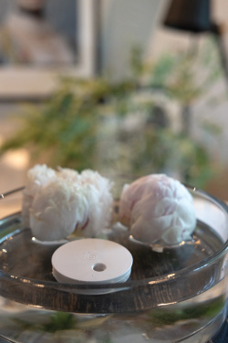 Logo trade promotional products picture of: Breevia RCS rplasic re-chargeable floating humidifier