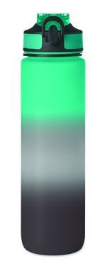 Logotrade promotional giveaway picture of: Sports water bottle RPET 1L