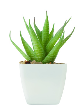 Logo trade advertising products picture of: Mini artificial plant