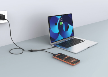 Logotrade promotional products photo of: Terra 100W RCS Dual USB C output cable