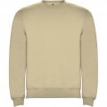 Clasica unisex crewneck kampsun, Liiv