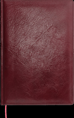 Logotrade firmakingi foto: Kalendermärkmik 642131