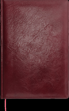 Logotrade ärikingituse foto: Kalendermärkmik 645131