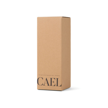 Logotrade reklaamkingi foto: VINGA Cael RCS SS joogipudel 600ML
