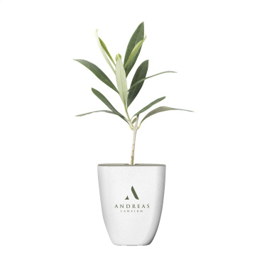 Logotrade mainostuotet kuva: Treemore Letterbox Trees Olive