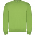 Clasica unisex džemperis su kaklu, Oasis Green