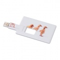 Kreditinė kortelė. USB blykstė 32GB, Baltas