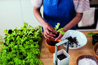 Logotrade reklaminiai produktai nuotrauka: Vidinis sodas su LED apšvietimu