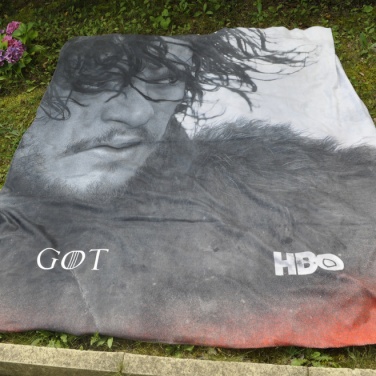 Логотрейд pекламные cувениры картинка: Флисовое одеяло с цифровой печатью, 100x150 см
