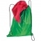 Логотрейд бизнес-подарки картинка: Спортивная сумка-рюкзак LEOPOLDSBURG, зеленый