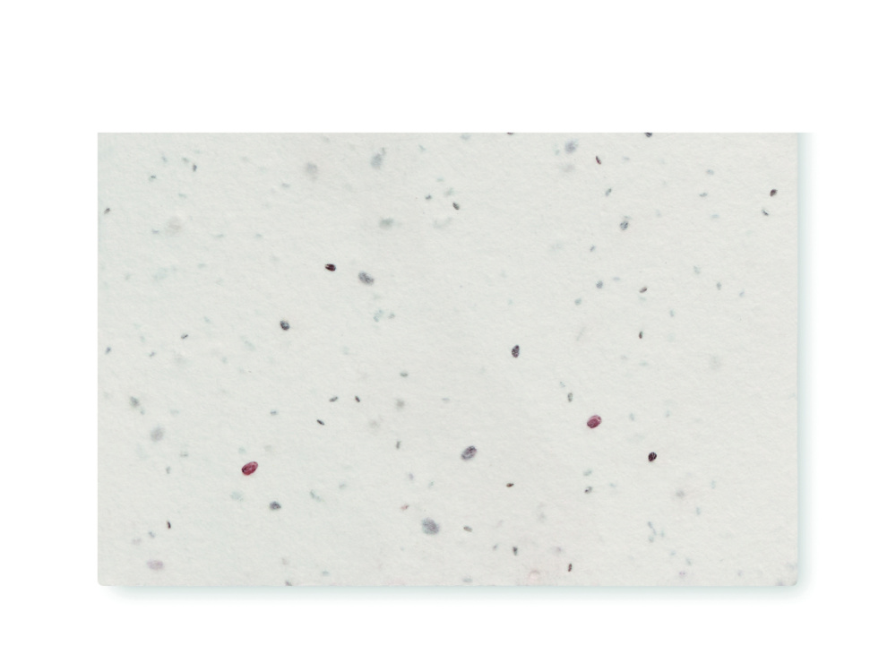 Логотрейд pекламные подарки картинка: Wildflower seed business card.