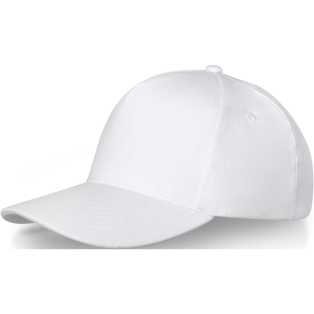 : Doyle 5-panels keps