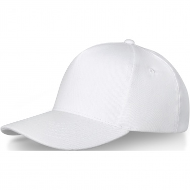 : Doyle 5-panels keps