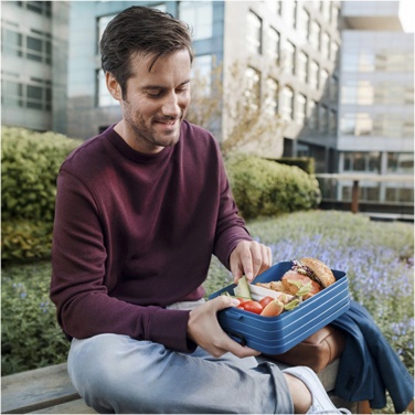 Logotrade kampanjprodukter bild: Mepal Take-a-break stor lunchlåda