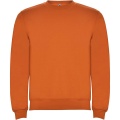 Clasica unisex tröja med rund hals, Orange