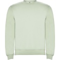 Clasica unisex tröja med rund hals, Mist Green