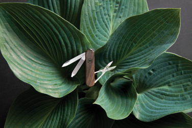 Logotrade profilreklam bild: VICTORINOX Classic SD Wood Fickkniv 5 funktioner